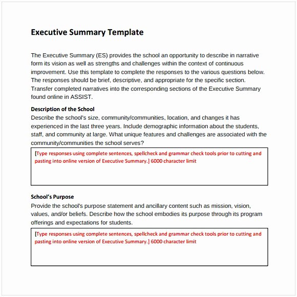 Executive Summary Word Template Inspirational Executive Summary Template Word