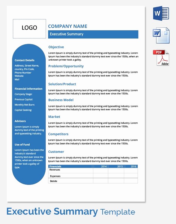 Executive Summary Word Template Lovely Free Executive Summary Template Download In Word Pdf