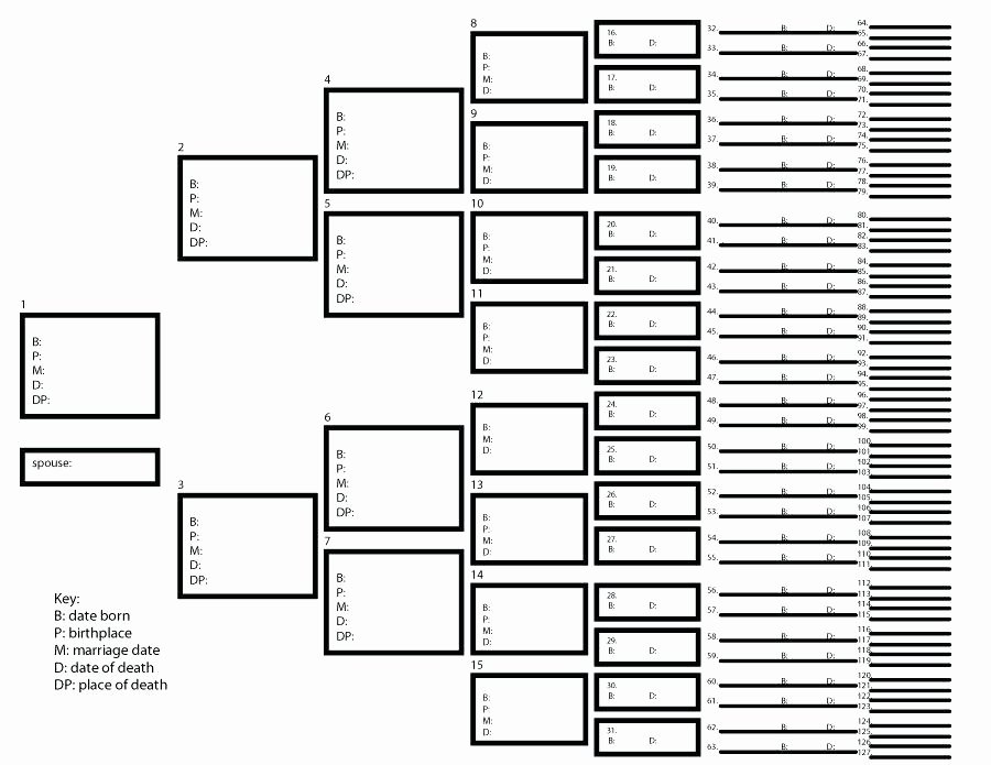 Family Tree Template with Siblings Fresh 12 13 Family Tree Spreadsheet Template