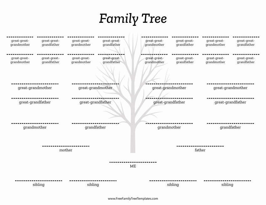 Family Tree Template with Siblings Fresh 5 Generation Family Tree Siblings Template – Free Family