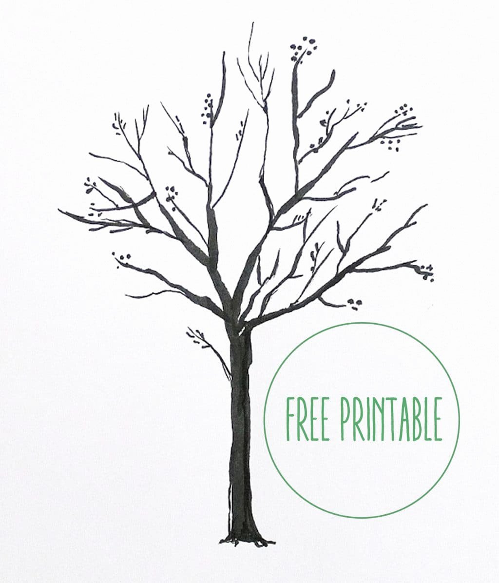 Family Tree with Pictures Template Best Of Free Printable
