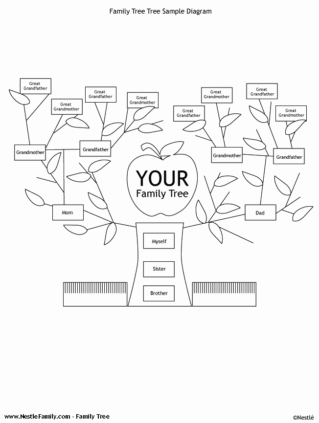 Family Tree with Pictures Template Lovely Family Tree Template Word Free Occupy Wall Street Demands