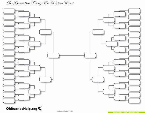 Fillable Family Tree Template Awesome why A Family Tree Template is the Perfect Gift
