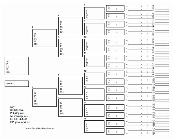 Fillable Family Tree Template Elegant 8 Family Tree Chart Template Free Word Excel Pdf