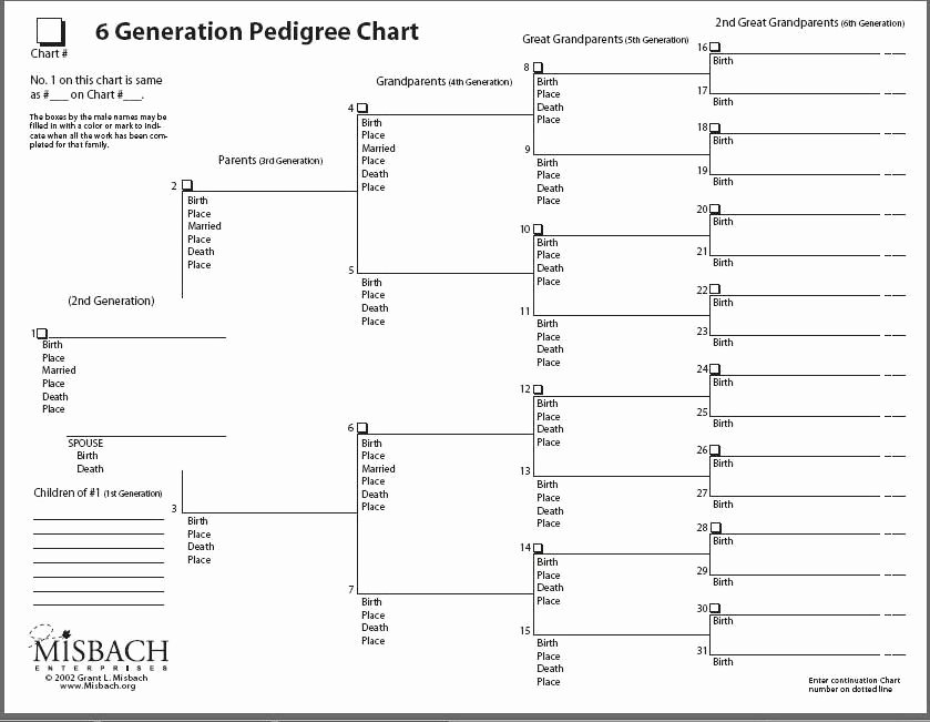 Fillable Family Tree Template Unique Ancestry Charts for Free to Print