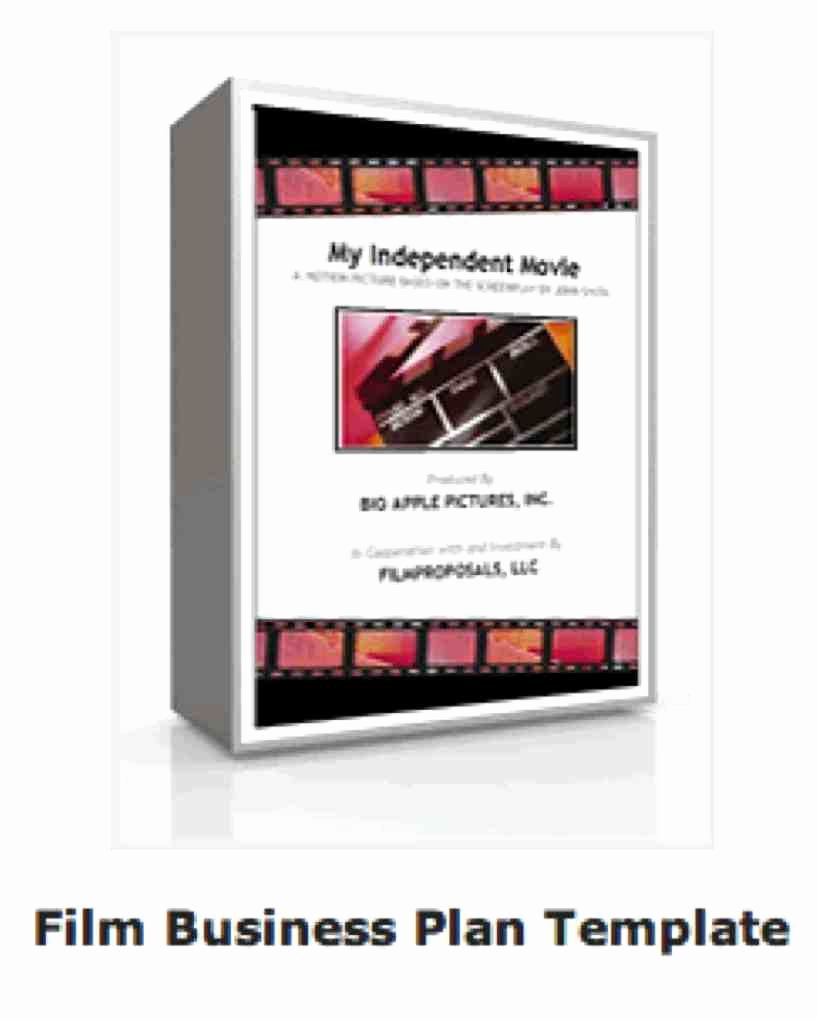 Film Business Plan Template Elegant Business Plan Template for