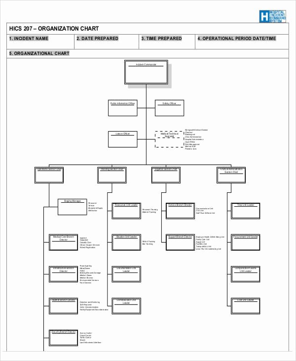 Fire Department organizational Chart Template Fresh 10 organizational Chart Templates Free Sample Example