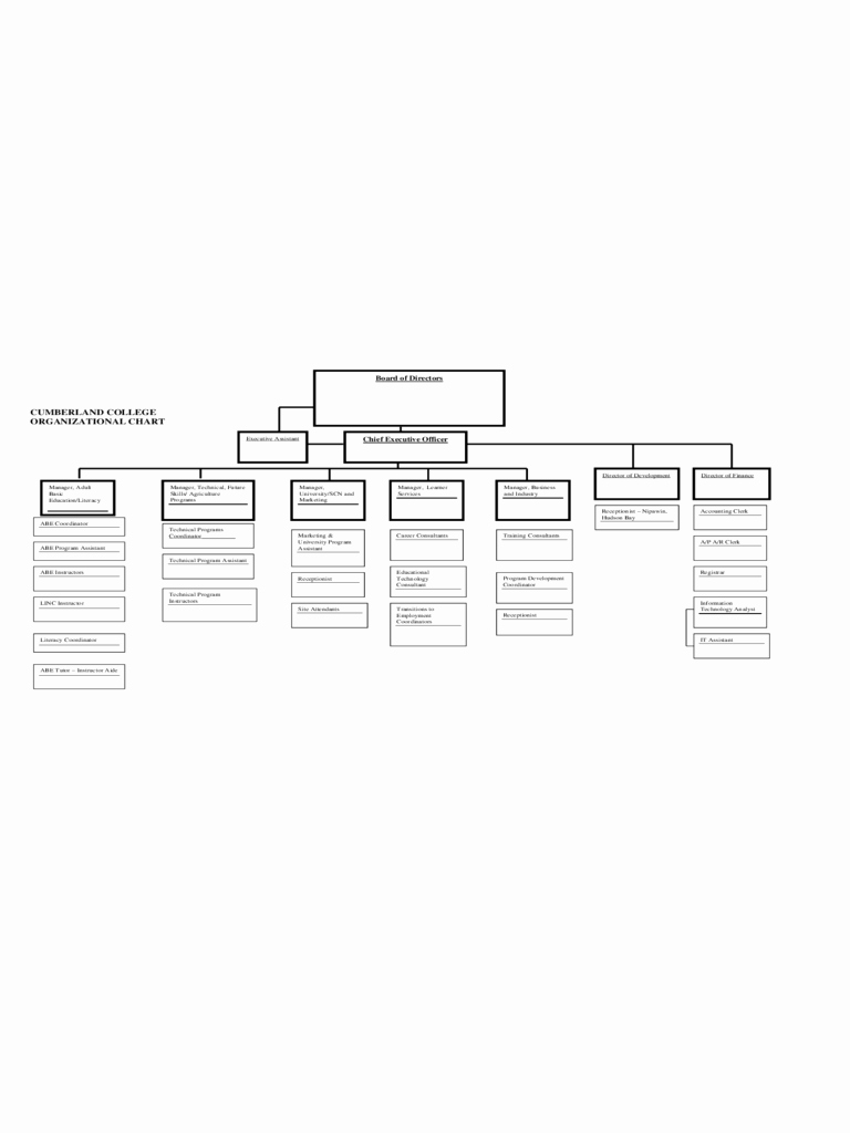 blank organizational chart