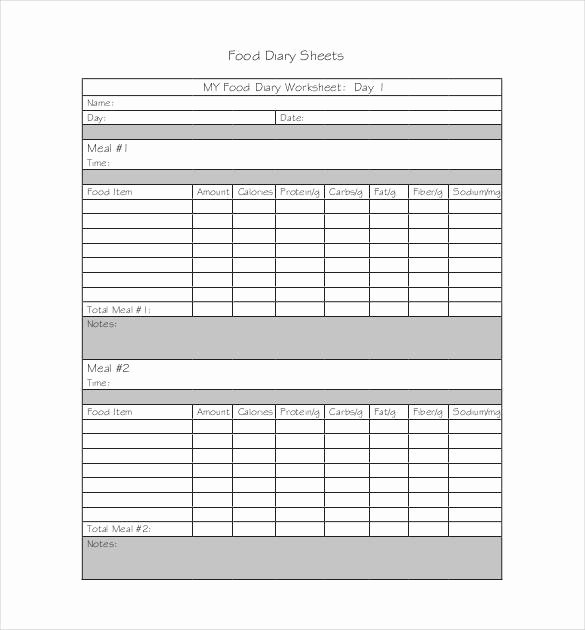 Food Diary Template Excel Elegant 33 Food Log Templates Doc Pdf Excel