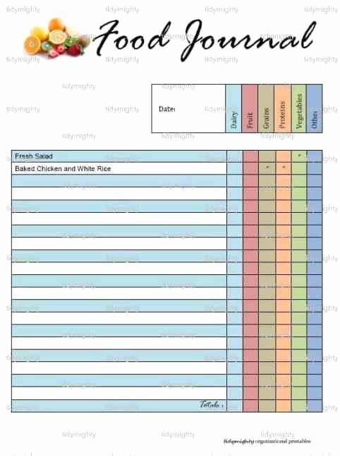 Food Diary Template Excel Inspirational 21 Free Food Journal Template Word Excel formats