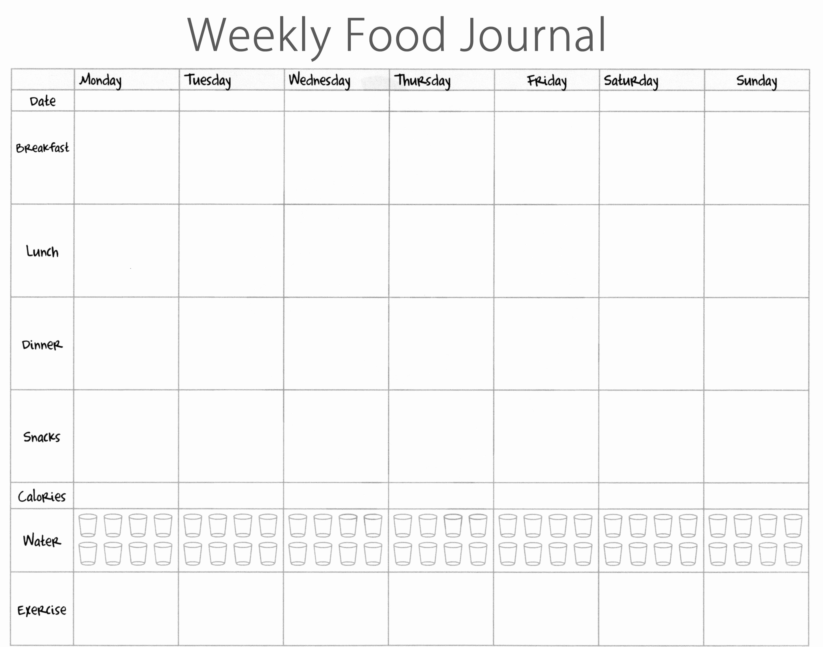 Food Diary Template Excel Lovely Food Journal Template Excel