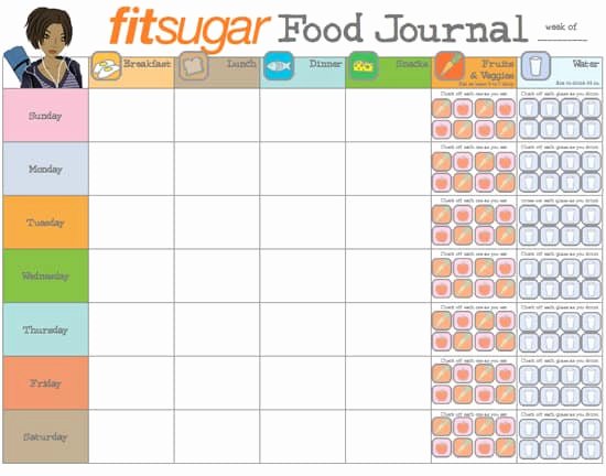 Food Diary Template Excel Luxury 6 Food Journal Templates Excel Pdf formats