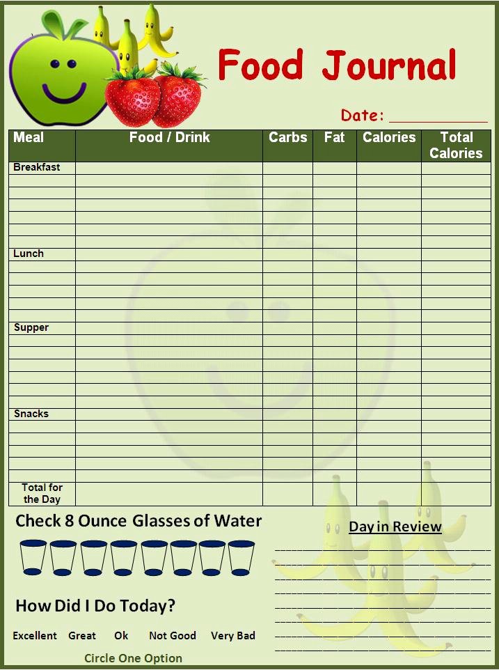 Food Diary Template Excel New Food Diary Template