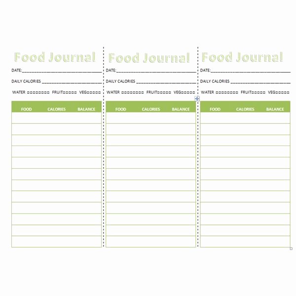 Food Diary Template Excel Unique Three Downloadable Food Journals Pocket Journal