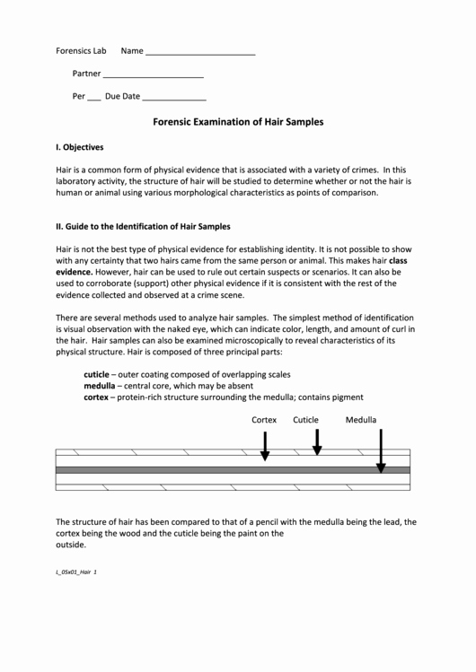 Forensic Report Template Microsoft Word Awesome top 11 Biology Lab Report Templates Free to In