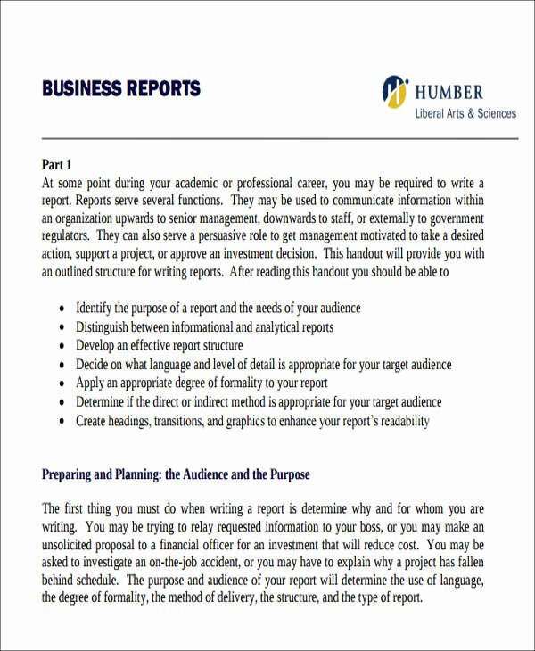 Formal Business Report Template New 30 Sample Business Reports Pdf Word Docs
