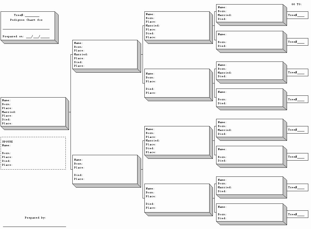 Free Fillable Family Tree Template Fresh Blank Family Tree Template