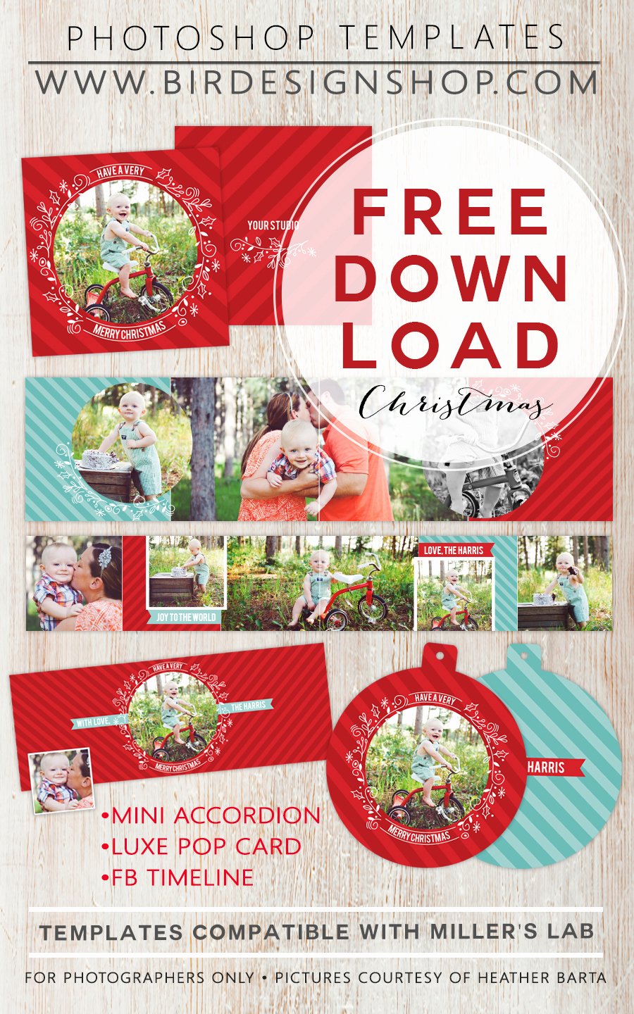 Free Holiday Newsletter Templates Awesome 50 Free Holiday Card Templates Moritz Fine Designs