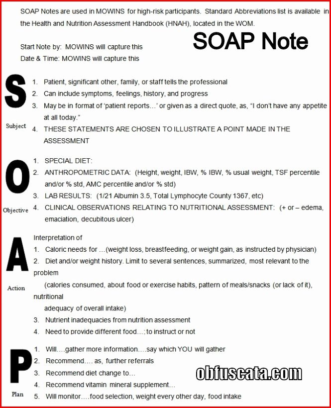 Free soap Note Template Inspirational What is A soap Note