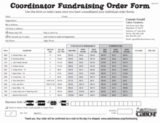 Fundraising order form Template Lovely Fundraiser order Templates Word Excel Samples