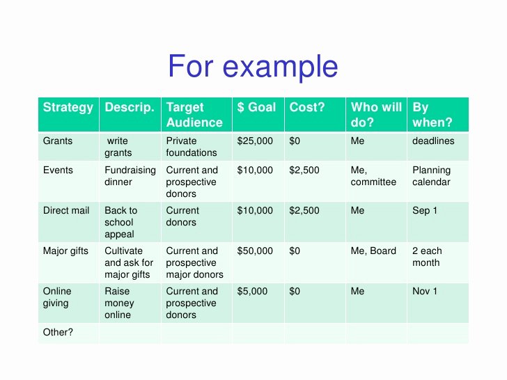 Fundraising Plan Template Free Unique for Examplestrategy Descrip Tar