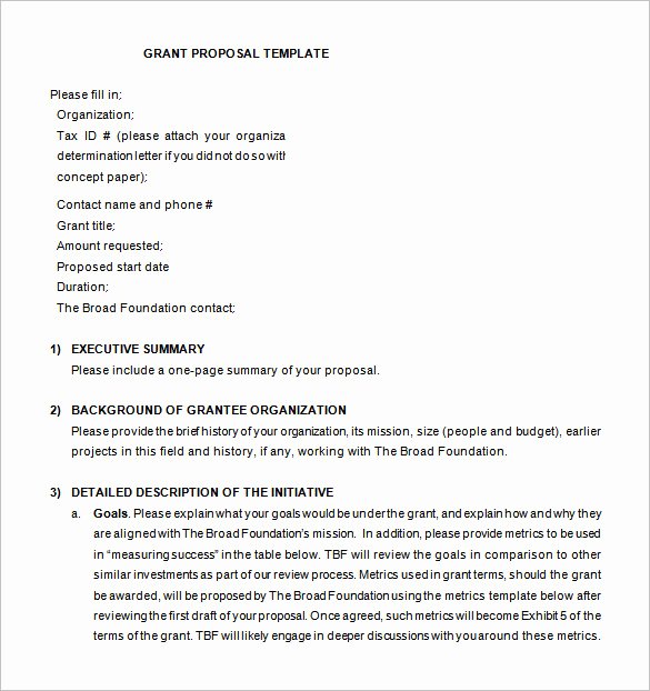 Grant Proposal Template Word Lovely Grant Proposal Template 19 Free Sample Example format