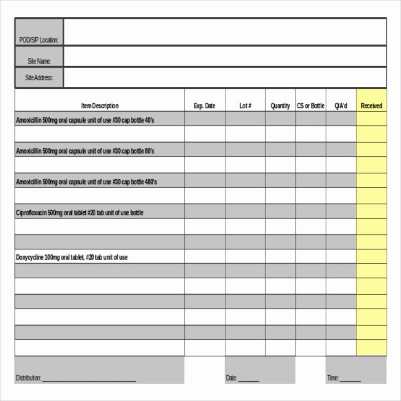 Information Technology Inventory Template Best Of It Inventory Templates – 12 Free Sample Example format