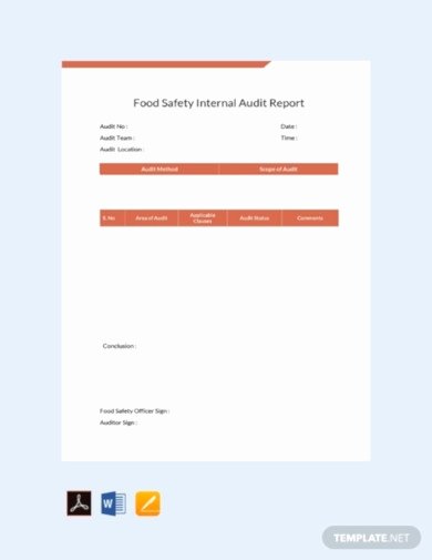 Internal Audit Reports Templates New 15 Internal Audit Report Templates In Google Docs