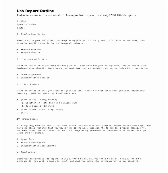Lab Report Template Word Unique 29 Lab Report Templates Pdf Google Docs Word Apple