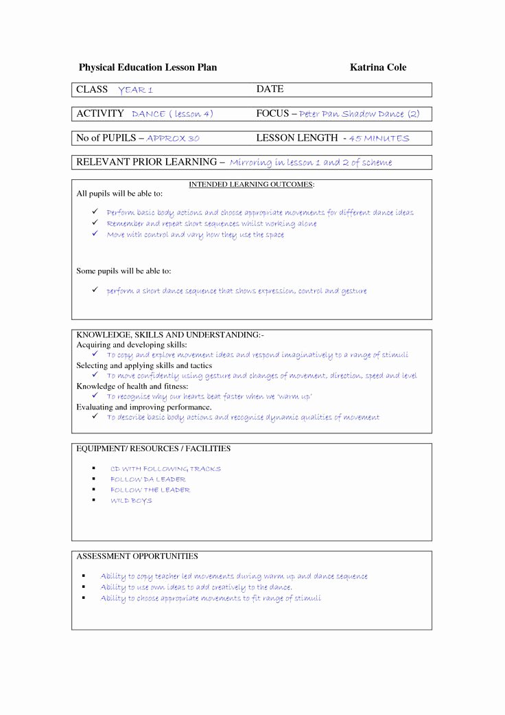 Lesson Plan Template Doc Luxury Best 25 Lesson Plan Template Doc Ideas Only On Pinterest