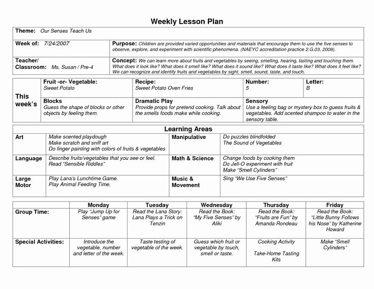 Lesson Plans Template for toddlers Elegant Naeyc Lesson Plan Template for Preschool