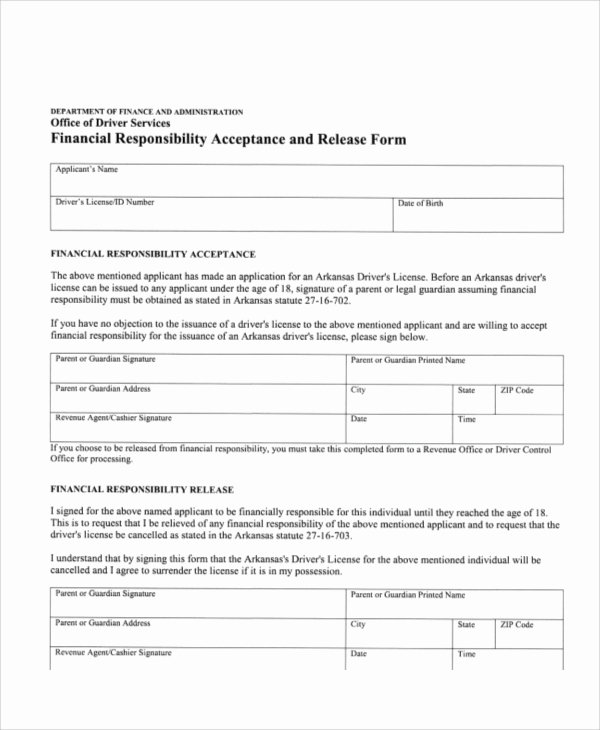 Letter Of Financial Responsibility Template Unique Sample Financial Release form 10 Examples In Word Pdf
