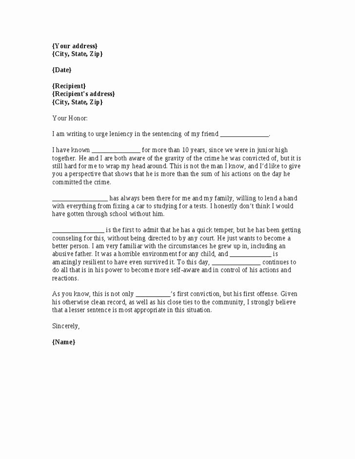 Letter to Court Template Lovely Image Result for Character Letters for Court Templates
