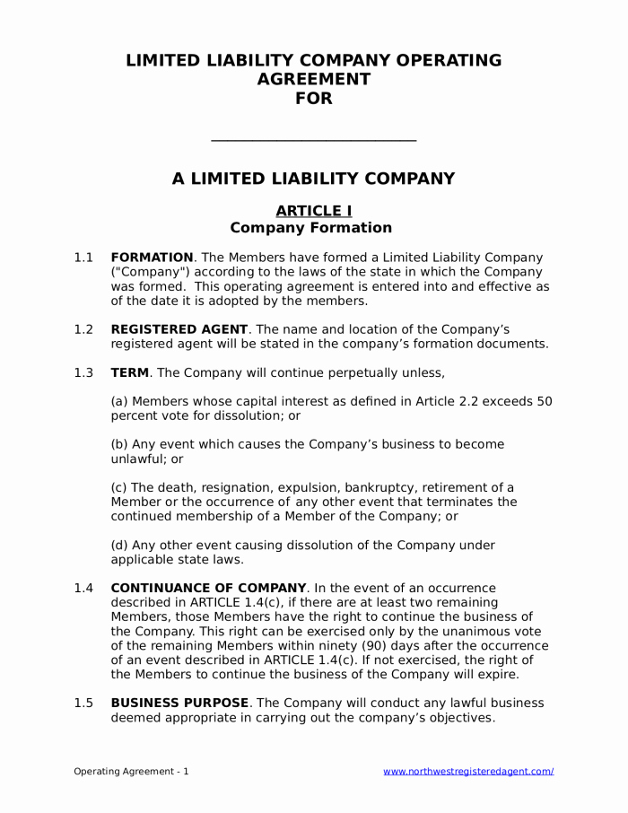 Llc Operating Agreement Template Pdf Awesome Free Llc Operating Agreement for A Limited Liability Pany