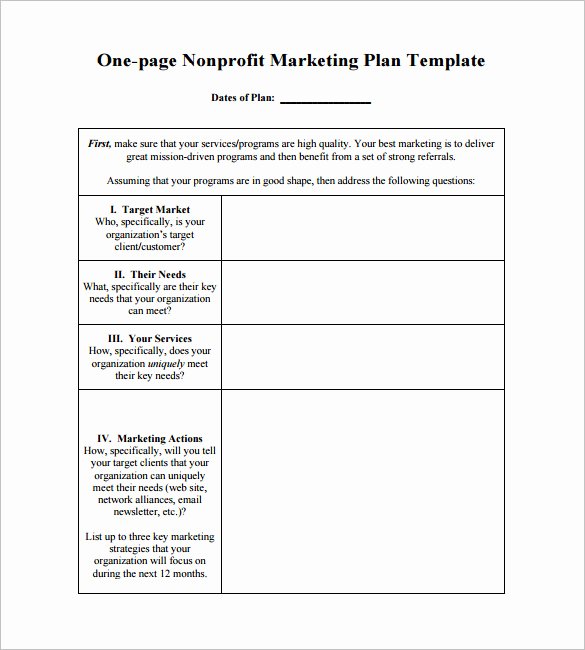 Marketing Action Plan Template Elegant 9 Marketing Action Plan Templates Doc Pdf
