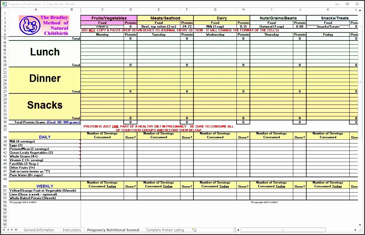Meal Plan Template Excel Unique 10 Monthly Meal Planner In Excel Sampletemplatess