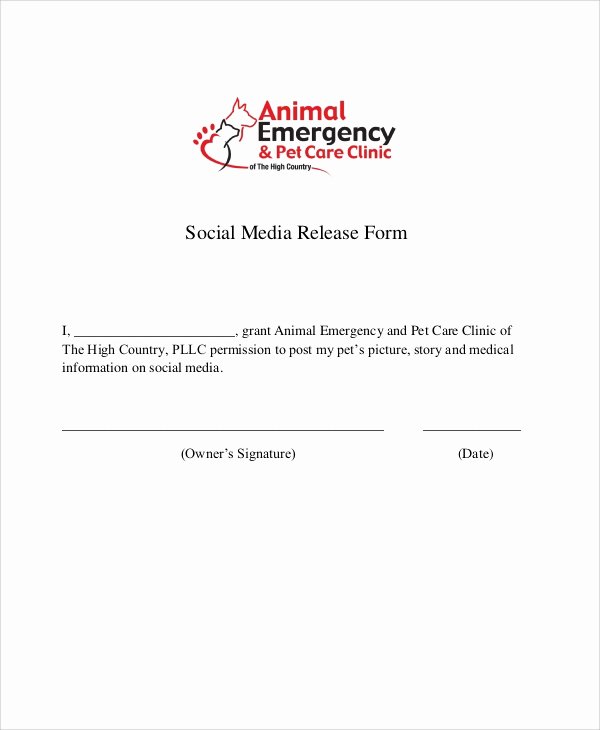 Media Release forms Template Fresh 51 Sample Release forms