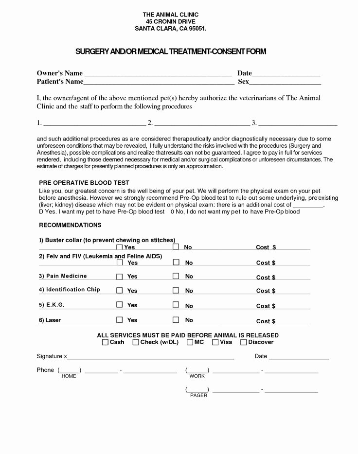 Medical Consent form Template Best Of 15 Best Images About My Work On Pinterest