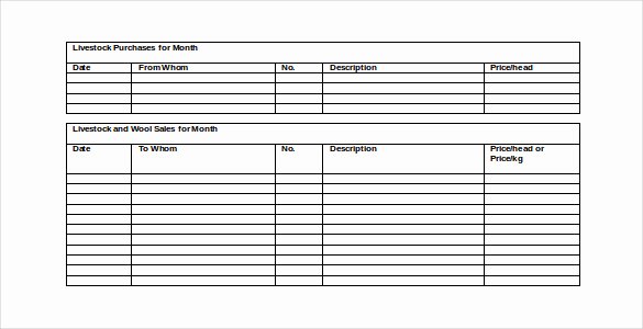 Monthly Report Template for Manager Elegant 40 Monthly Management Report Templates Pdf Google Docs