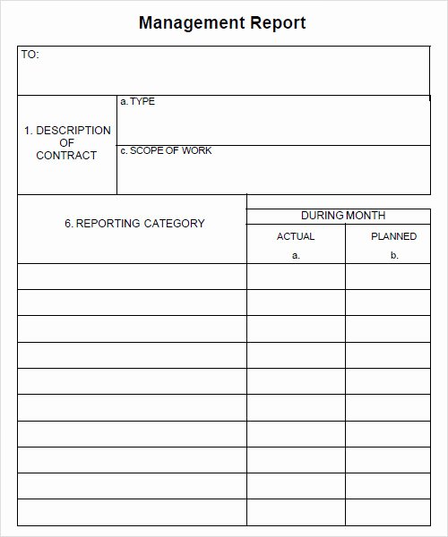 Monthly Report Template for Manager Inspirational 35 Report Templates Docs Word Pdf Pages