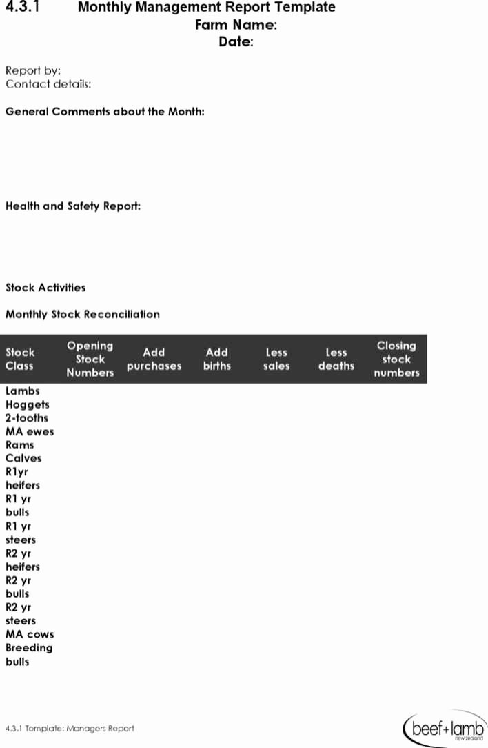 Monthly Report Template for Manager Inspirational Download Monthly Management Report Template for Free