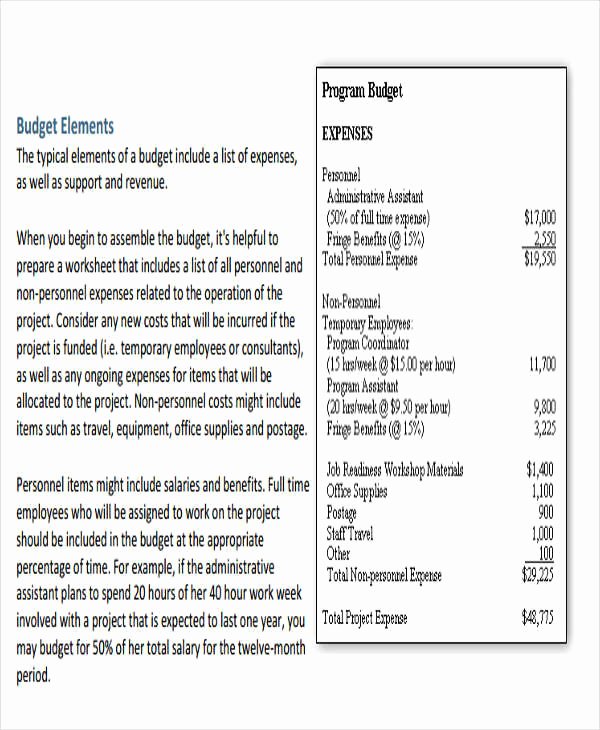 Non Profit Budget Template New 12 Non Profit Bud Templates Word Pdf Excel Google