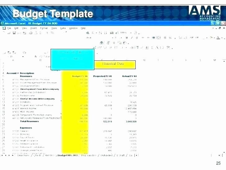 Non Profit Budget Template New organizational Bud Template – Highendflavors