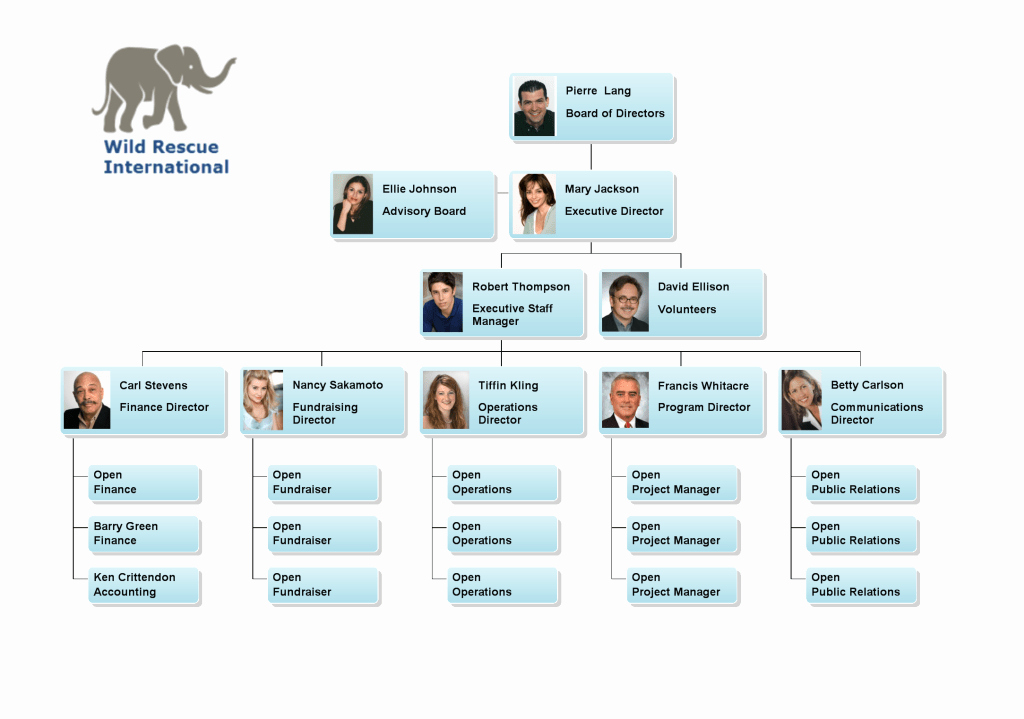 Non Profit organization Structure Template Awesome org Chart Examples From orgchartpro