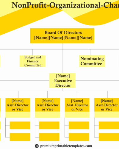 Non Profit organization Structure Template Best Of Non Profit organisation Chart Templates – A Sample