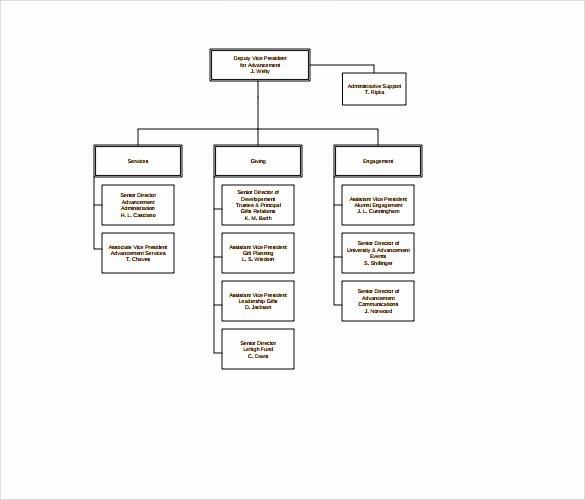 Non Profit organization Structure Template Best Of Sample Non Profit organizational Chart 6 Documents In