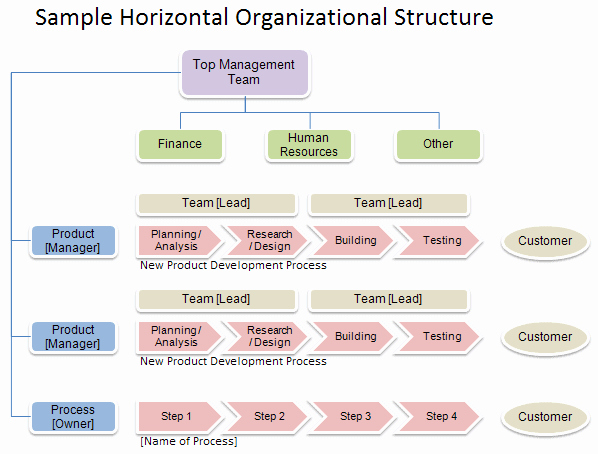 Non Profit organization Structure Template Elegant Free organizational Chart Template Pany organization