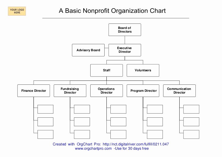 Non Profit organization Structure Template Inspirational A Simple Nonprofit organizational Chart
