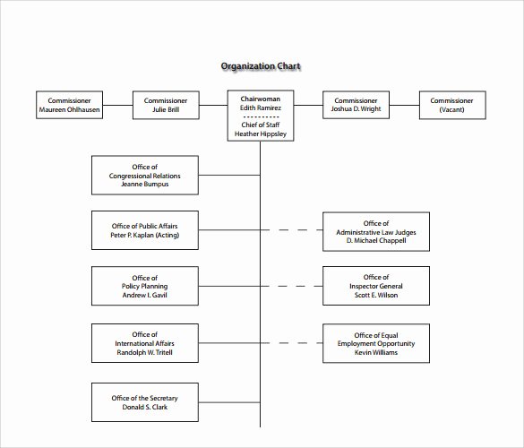 Non Profit organization Structure Template Inspirational Non Profit organizational Chart 7 Samples Examples format