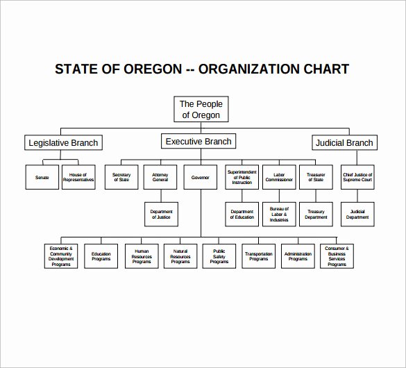 Non Profit organization Structure Template Inspirational Sample Non Profit organizational Chart 6 Documents In